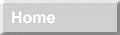 Home button